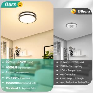 Flush Mount Ceiling Light Black, 30W 4000Lm 5CCT Dimmable LED Ceiling Light Fixture, 2700K/3000K/4000K/5000K/6500K Adjustable 10 Inch for Hallway Bedroom Bathroom Kitchen Closet Offices, Set of 2