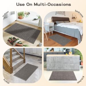 Villsure Door Mat, Front Doormats, Non-Slip Entryway Mats Resist Dirt, Washable Low Pile Floor Door Mats for Home, Entrance, Inside, Patio, Grey, 19.5"x31"