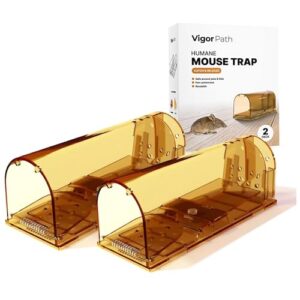 set of 2 reusable mouse traps | humane catch and release traps | best indoor/outdoor solution for handling mice and small rodents (brown)