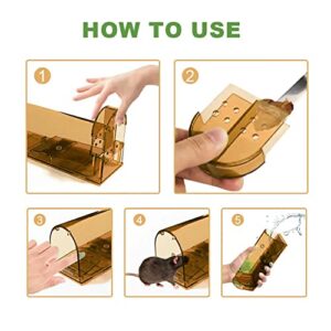 Set of 2 Reusable Mouse Traps | Humane Catch and Release Traps | Best Indoor/Outdoor Solution for Handling Mice and Small Rodents (Brown)