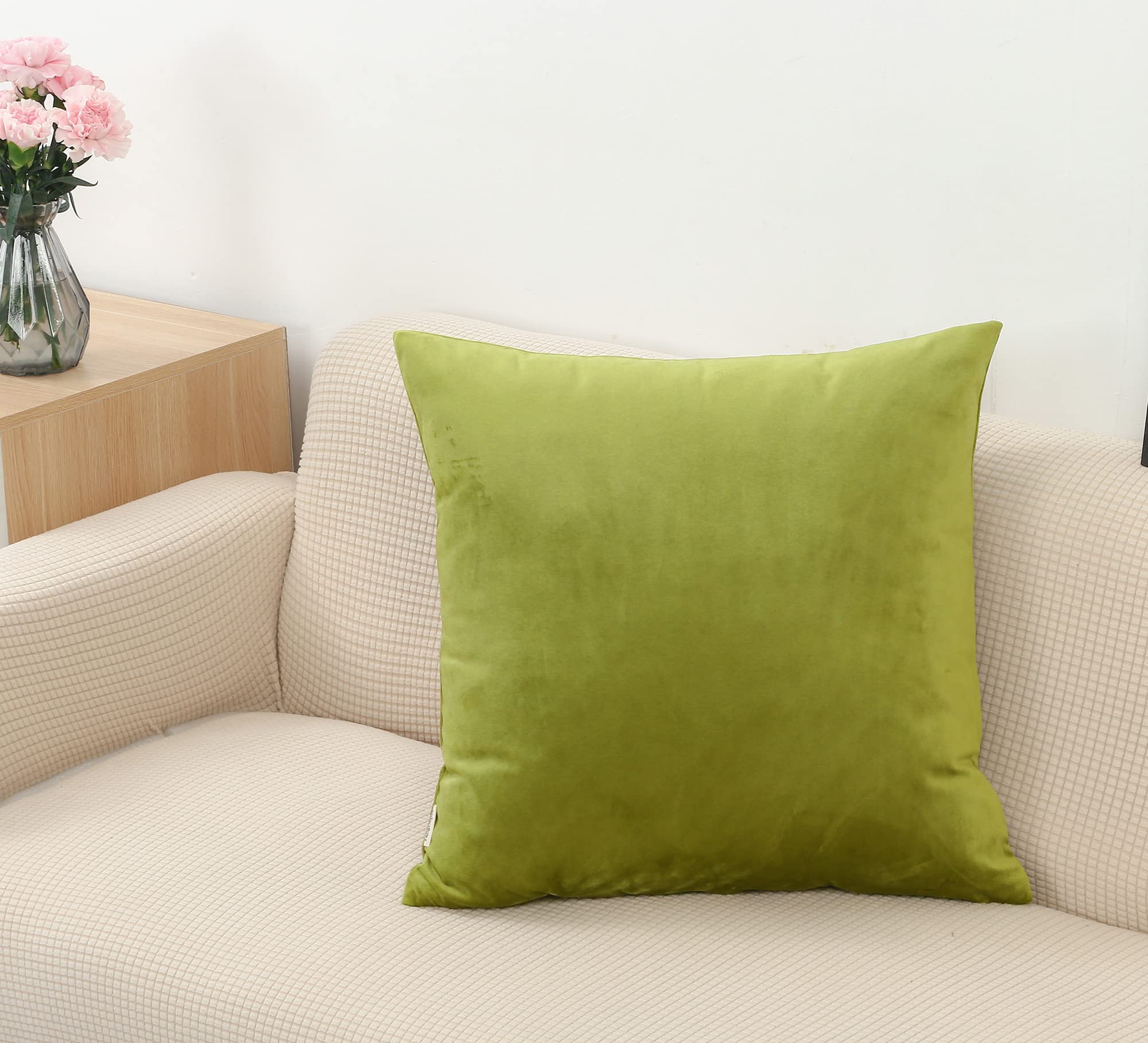 TangDepot Set of 2 Velvet Throw Pillow Covers, Super Soft, Euro Pillowcases - (24x24 Inch 2 Pieces, G01 Olive Green)