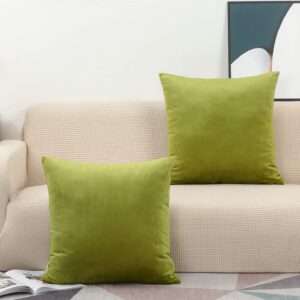 TangDepot Set of 2 Velvet Throw Pillow Covers, Super Soft, Euro Pillowcases - (24x24 Inch 2 Pieces, G01 Olive Green)