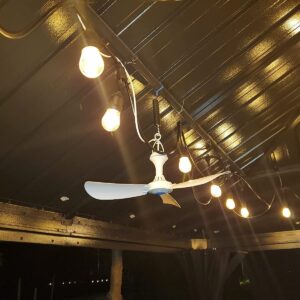 BSTJXDZ 110V Mute Electric Ceiling Fan outdoor gazebo fan indoor bedroom living room air circulation quiet ceiling fan