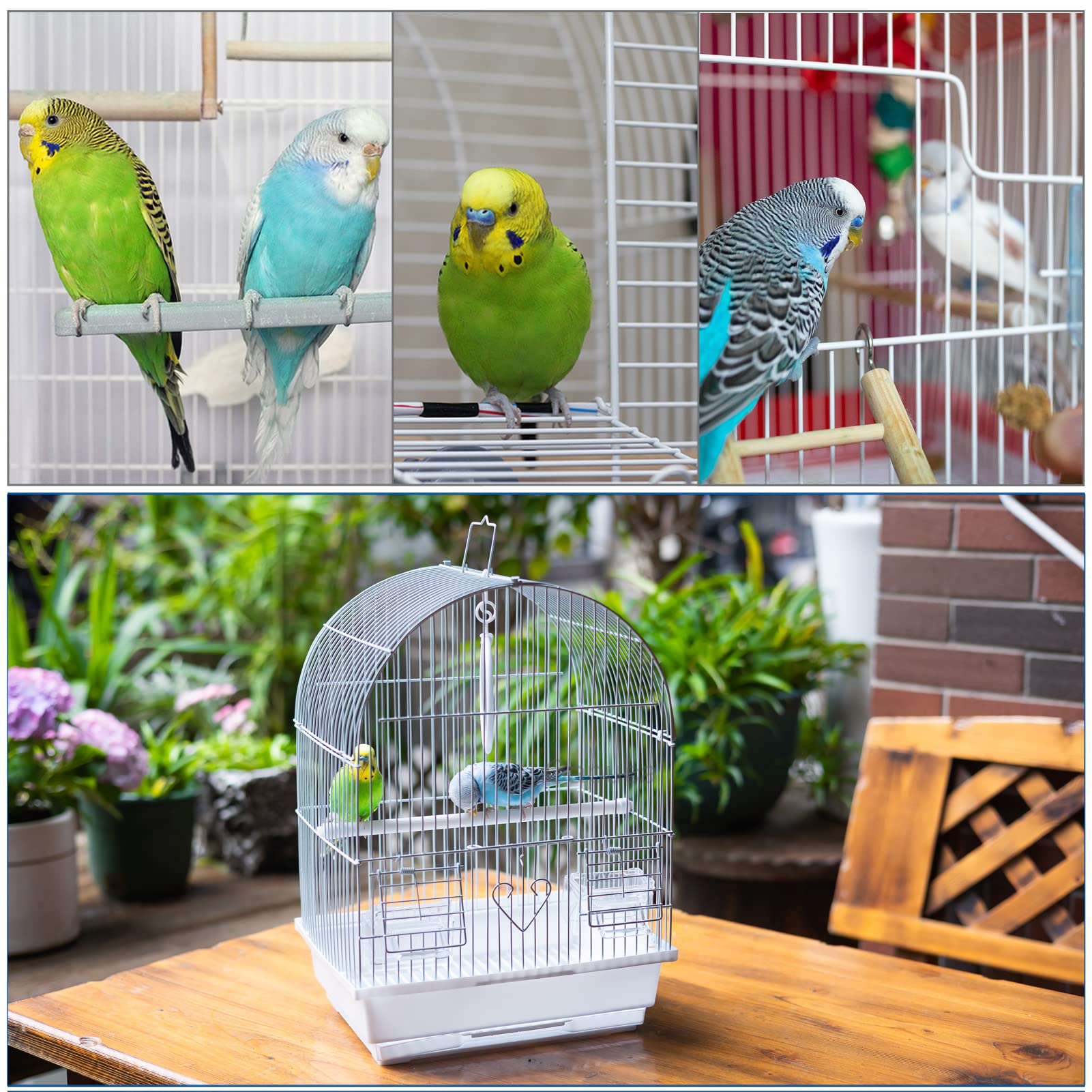 Capuca Small Bird Travel Cage - Lightweight Small Birds Starter Kit with Birdcages and Accessories Great for Parakeets Lovebirds Parrotlets Finches Canaries