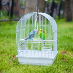 Capuca Small Bird Travel Cage - Lightweight Small Birds Starter Kit with Birdcages and Accessories Great for Parakeets Lovebirds Parrotlets Finches Canaries