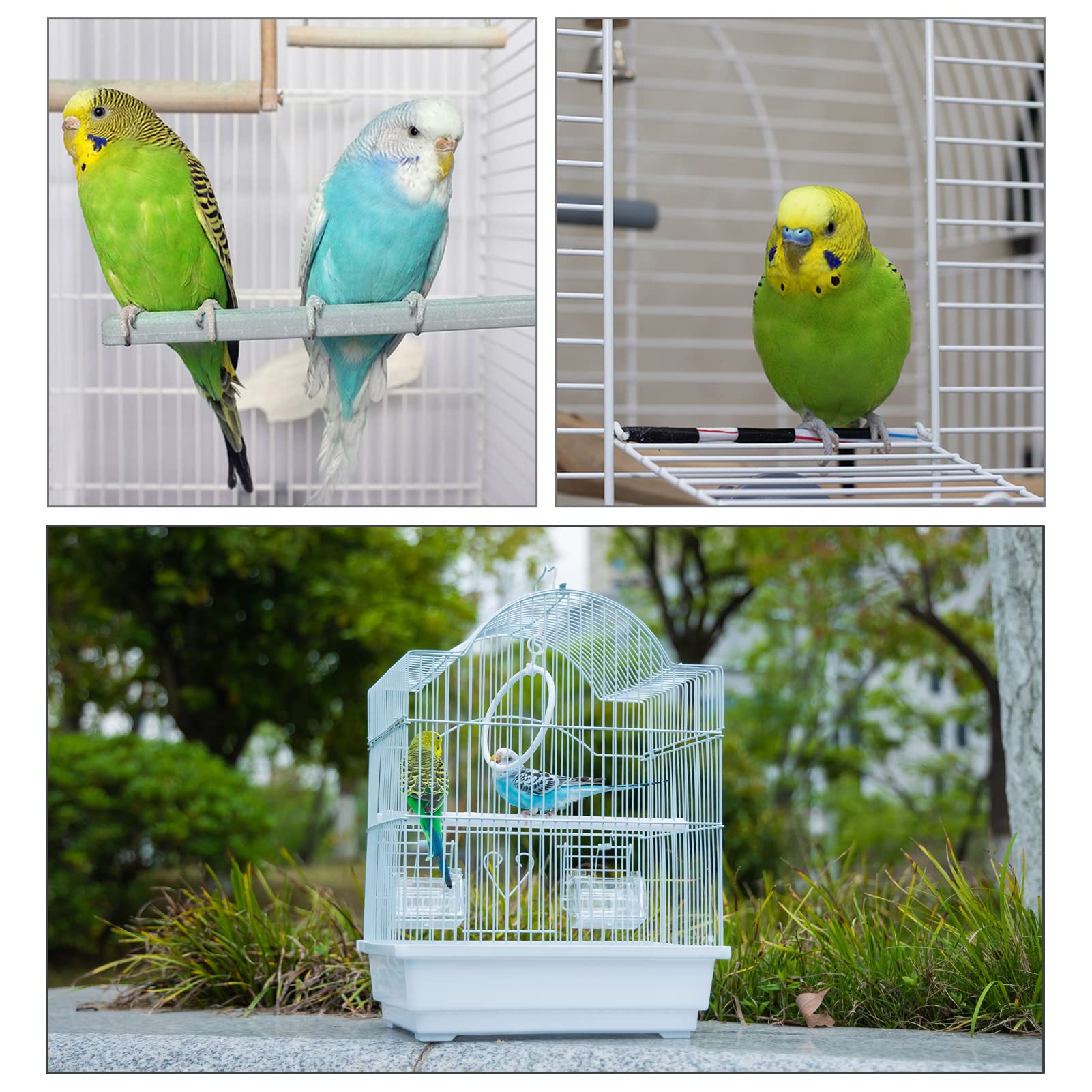 Capuca Small Bird Travel Cage-Lightweight Small Birds Starter Kit with Birdcages and Accessories Great for Parakeets Lovebirds Parrotlets Finches Canaries Removable Plastic Tray Include