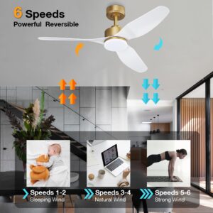 Hoenofly 48 Inch Smart Ceiling Fans with Lights and Remote Control,Dimmable LED Light,Outdoor Indoor Gold White Ceiling Fan,Quiet DC Motor,WIFI Alexa App Workable,for Modern Bedroom Living Room Patio