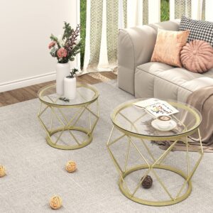 Hzuaneri Round Coffee Table Set of 2, Special-Shaped Small Side Tables, End Tables with Metal Frame and Tempered Glass Top, Modern Living Room Table Sets for Parlour, Bedroom, Office, Gold 01801GCTV1