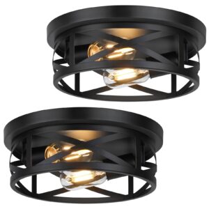 2-Light Flush Mount Ceiling Light Fixtures, 2-Pack Farmhouse Black Ceiling Lights, Industrial Metal Cage Light Fixtures Ceiling Mounted with Adjustable Head, Ceiling Lights for Bedroom Hallway Kitchen