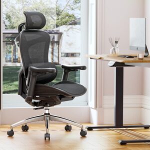 SIHOO Doro C300 Ergonomic Office Chair with Ultra Soft 3D Armrests, Dynamic Lumbar Support for Home Office Chair, Adjustable Backrest Desk Chair, Swivel Big and Tall Computer Chair Black