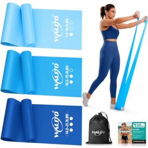 WALITO Resistance Bands for Working Out, Exercise Bands for Women and Men, Workout Bands for Physical Therapy, Stretch, Recovery, Pilates, Rehab, Strength Training and Home Gym