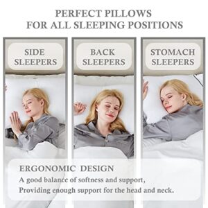 Homemate Bed Pillows for Sleeping - Queen Size(20"x28") Set of 2 Hotel Quality Pillows Allergy Friendly Microfiber Shell Fluffy Down Alternative Filling Pillow Suitable Back Stomach or Side Sleepers