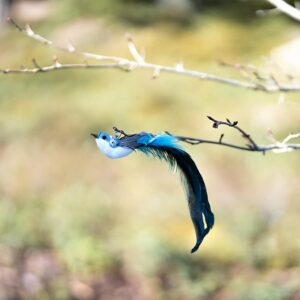 Leo's Paw Interactive Bird Simulation Cat Toy Set Realistic & Colorful with Feathers & Bells on Wand Stimulating Real-Life Flying Bird Impression for Hunting Exercise & Play (Replacement Birds 5 PCS)