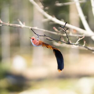 Leo's Paw Interactive Bird Simulation Cat Toy Set Realistic & Colorful with Feathers & Bells on Wand Stimulating Real-Life Flying Bird Impression for Hunting Exercise & Play (Replacement Birds 5 PCS)