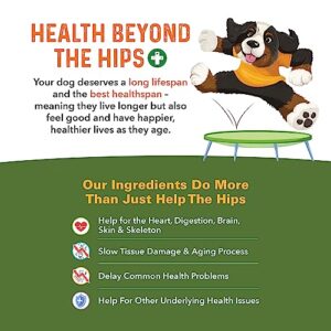 Bernie's Healthy Hips - Daily Dog Hip and Joint Supplement - 90 Soft Chews - Reduce Pain, Encourage Mobility, Slow Damage, Repair and Rebuild Hips and Joint Tissues