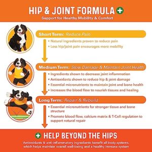 Bernie's Healthy Hips - Daily Dog Hip and Joint Supplement - 90 Soft Chews - Reduce Pain, Encourage Mobility, Slow Damage, Repair and Rebuild Hips and Joint Tissues