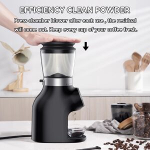 Electric Burr Coffee Grinder with Digital Control, BEEONE Espresso Grinder with 31 Precise Settings for 1-10 Cups, Coffee Grinder Electric with Time Display, Black