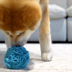 Glory To Dog Puppy and Small Breed Snuffle Interactive Foraging Dog Puzzle Ball Toy Blue