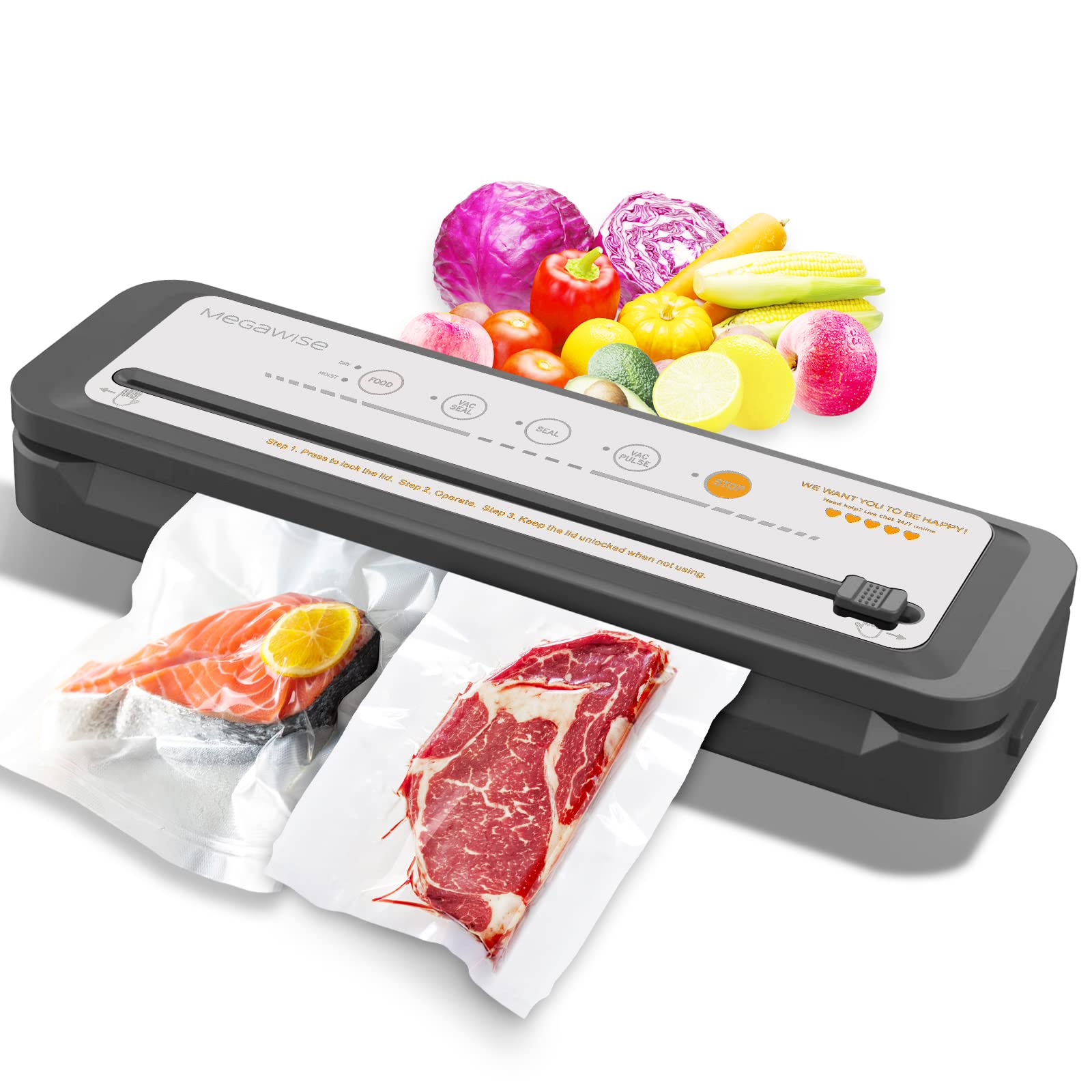 MegaWise Powerful and Compact Vacuum Sealer Machine (Silver)