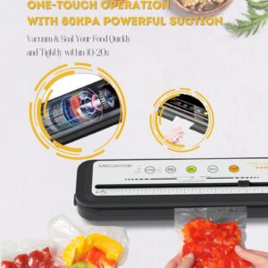 MegaWise Powerful and Compact Vacuum Sealer Machine (Silver)