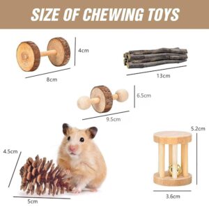 Hamster Toys, Guinea Pig Toys, 20 Pcs Wooden Hamster Toy Set Natural Apple Wood Small Animal Chew Molar Toys for Teeth for Rabbit, Chinchilla, Gerbils, Rats Exercise Accessories