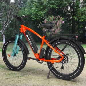 HAOQI Electric Bike for Adults, 26" x 4.0 Fat Tire Ebike, 750W Brushless Motor Mountain Bike with 48V 20AH Removable Battery, Electric Bicycle with 7 Speed to 28MPH