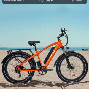 HAOQI Electric Bike for Adults, 26" x 4.0 Fat Tire Ebike, 750W Brushless Motor Mountain Bike with 48V 20AH Removable Battery, Electric Bicycle with 7 Speed to 28MPH