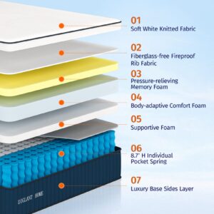 King Mattress, DIGLANT 14 Inch Hybrid Mattress, Medium Plush Feel Memory Foam Euro Top Mattress in a Box and Pocket Springs, CertiPUR-US Certified, Balance Support & Pain-Relief King Size Mattress