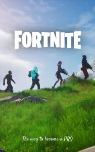 fortnite: the way to become a pro