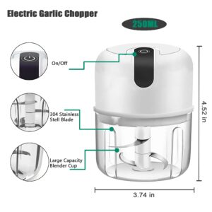 250ML Electric Garlic Chopper, Mini Portable Veggie Chopper, Garlic Grinder Masher Onion Chopper, Blender to Vegetable, Wireless Food Processor for Ginger, Chili, Fruit, Meat, etc