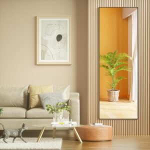 Hasipu Door Mirror Full Length, 51 x 16 Inch Full Body Wall Mirror Over The Door Hanging Mirror for Bedroom, Living Room, Cloakroom