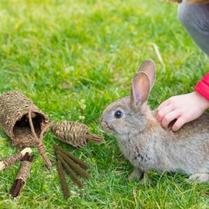 DBLPMF Rabbit Chew Toys,Natural Seagrass Hanging Basket with Sweet Bamboo,Timothy Hay,Water Plant Radish,Apple Sticks for Bunny Chinchillas Guinea Pigs Hamsters Rats Teeth Grinding