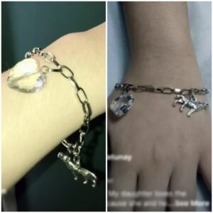 Bella Bracelet - Twilight Themed Graduation Gift Made of Silver Chain with Clear Heart Crystal Bead and Wolf Charm (silver wolf)