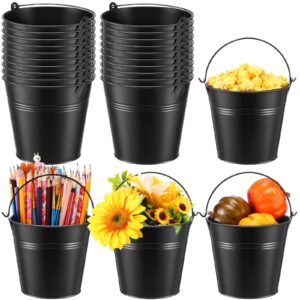 24 pcs metal bucket 5 x 3.5 x 4.7 inch mini party buckets for flower pot plant basket iron small metallic pails with handle for toy container candy snack crafts vase party favors (black)