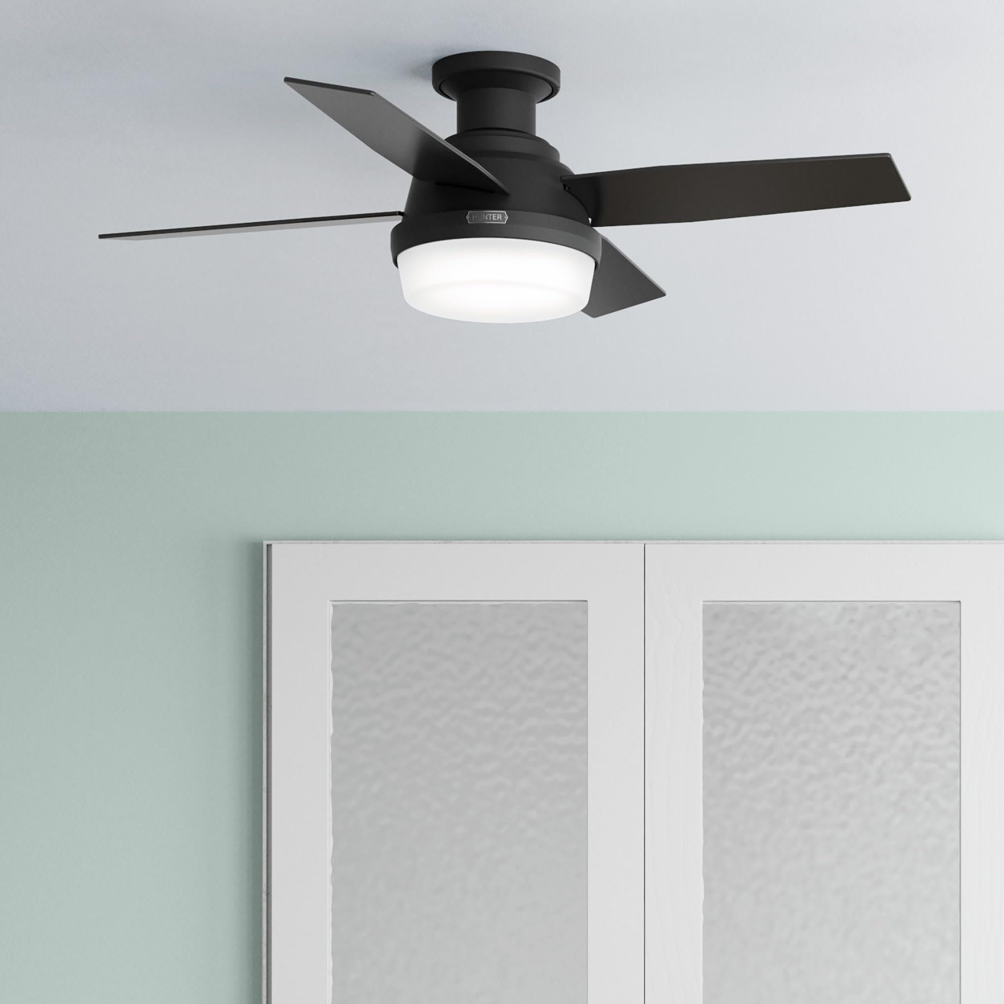 Hunter Fan Company 52390 Dempsey Ceiling Fan, 44 Inches, Matte Black