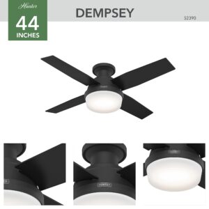 Hunter Fan Company 52390 Dempsey Ceiling Fan, 44 Inches, Matte Black