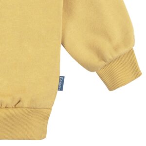 Gerber Baby Girls Toddler 2-Piece Fleece Sweatshirt and Jogger Set, Yellow Solid, 3T