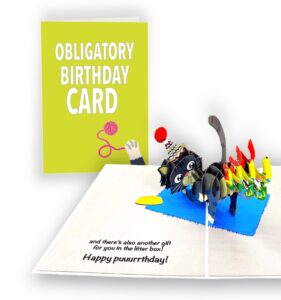 aviniti dirty pop cards – obligatory birthday card – funny 3d cat birthday card, popup cards for friend, mom, dad, husband, wife - 1 card 5 x 7 inch, 1 notepaper, 1 envelope (farting cat 2)