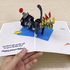 AVINITI Dirty Pop Cards – Obligatory Birthday Card – Funny 3D Cat Birthday Card, Popup Cards for Friend, Mom, Dad, Husband, Wife - 1 Card 5 x 7 inch, 1 Notepaper, 1 Envelope (Farting Cat 2)