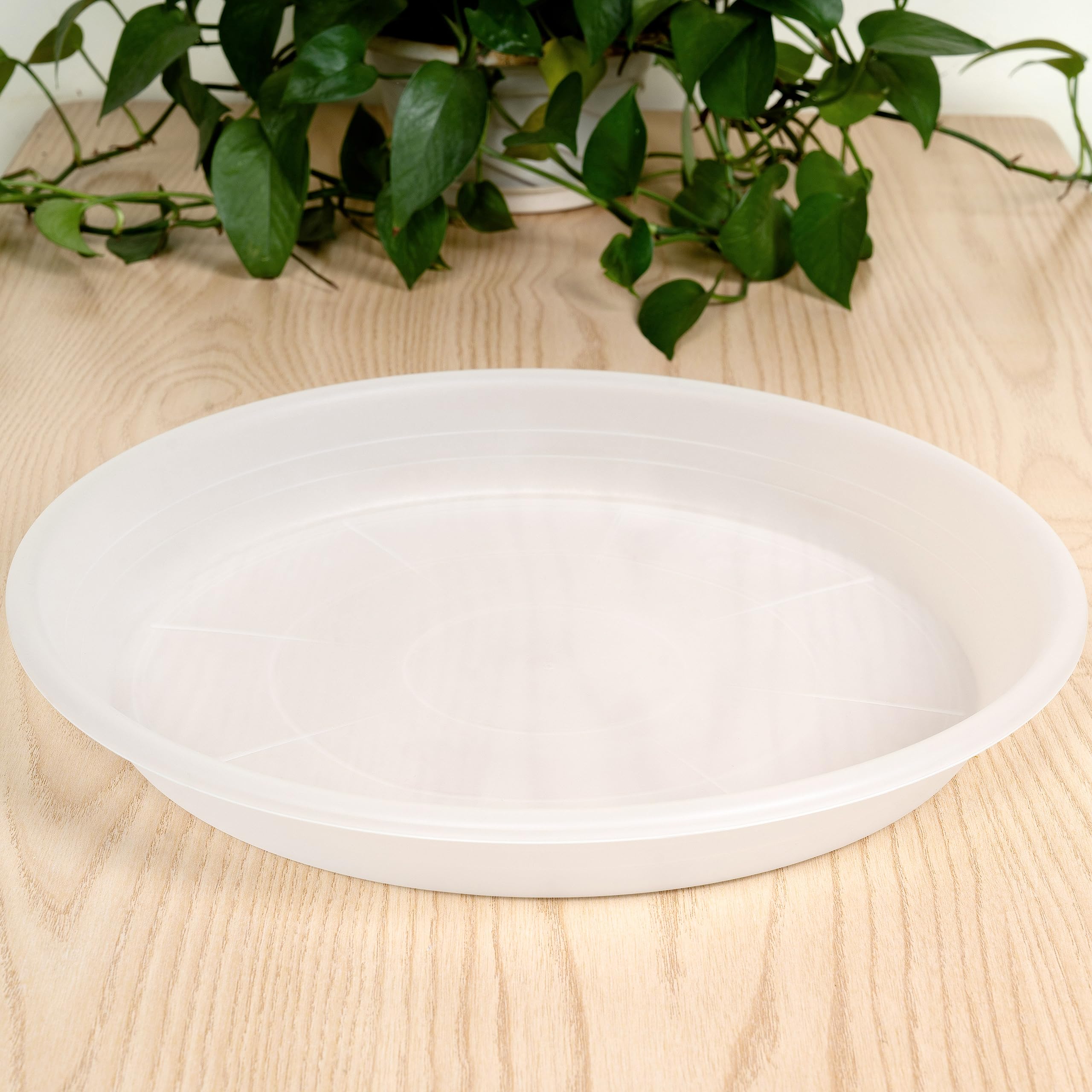 SAUCERHOME 5 Packs Plant Saucer Pot Tray 6 8 10 12 14 16 19 20 Inch Plastic Flower Planter Saucers and Drip Trays for Indoors Outdoors, Heavy Durable Plant Plate Water Catcher (6 Inch Clear)