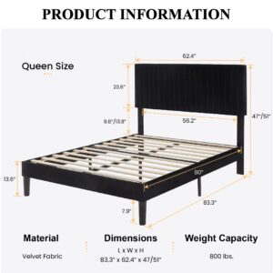 SHA CERLIN Queen Upholstered Platform Bed Frame with Adjustable Headboard/Vertical Channel Tufted Velvet Fabric/Wooden Slats Support/Mattress Foundation/Box Spring Optional/Black