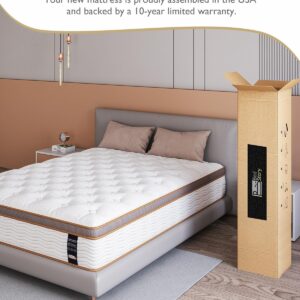 BedStory Queen Size Mattress - 10 Inch Hybrid Mattress Medium Firm - Individually Wrapped Coils for Motion Isolation