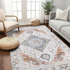 Area Rug Non-Slip 4'x6' Printed Indoor Accent Rug Washable Low-Pile Foldable Carpets Indoor Entry Throw Rug for Bedroom Living Room Dining Playroom