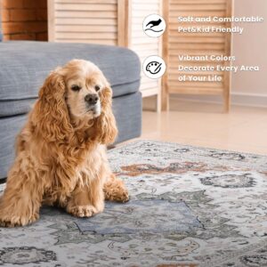 Area Rug Non-Slip 4'x6' Printed Indoor Accent Rug Washable Low-Pile Foldable Carpets Indoor Entry Throw Rug for Bedroom Living Room Dining Playroom