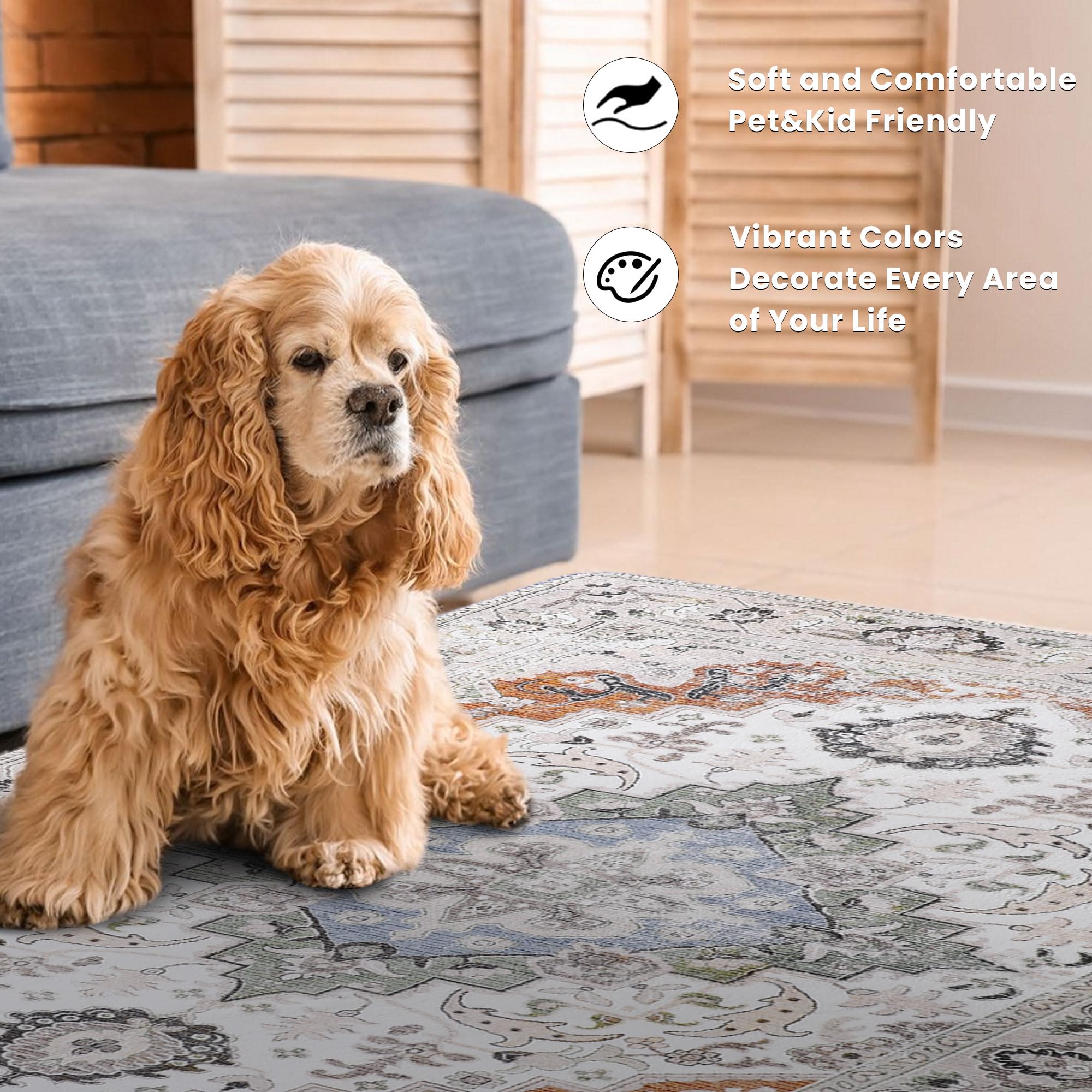 Area Rug Non-Slip 4'x6' Printed Indoor Accent Rug Washable Low-Pile Foldable Carpets Indoor Entry Throw Rug for Bedroom Living Room Dining Playroom