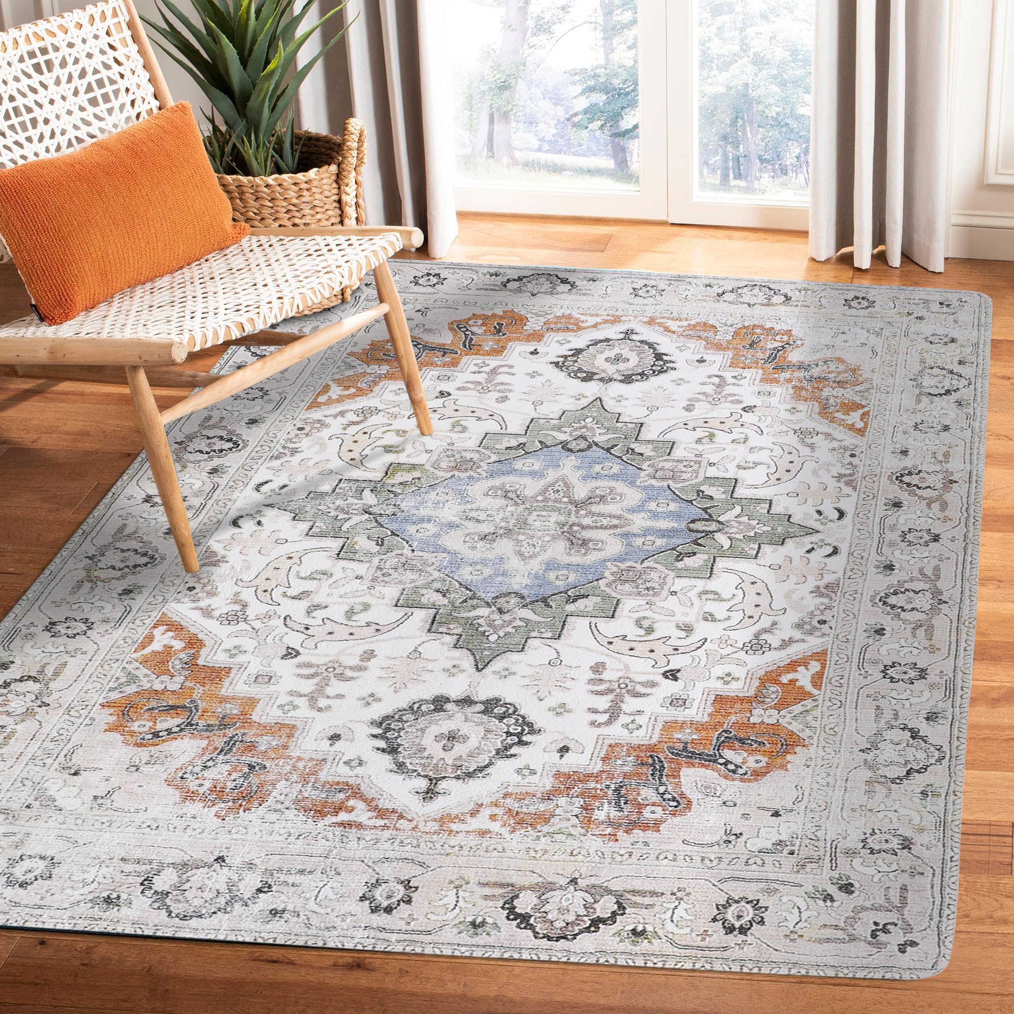 Area Rug Non-Slip 4'x6' Printed Indoor Accent Rug Washable Low-Pile Foldable Carpets Indoor Entry Throw Rug for Bedroom Living Room Dining Playroom