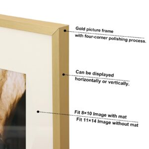 Fixwal 11x14 Aluminum Picture Frame with Mat for 8x10 Photo, Metal Gold Frame Tempered Glass for Wedding Wall Display