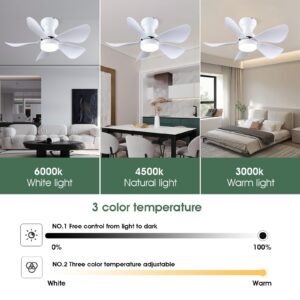 Kviflon Ceiling Fans with Lights and Remote/APP Control, 30 inch Low Profile Ceiling Fans with 5 Reversible Blades 3 Colors Dimmable 6 Speeds Ceiling Fan for Bedroom Kitchen Dining Room, White