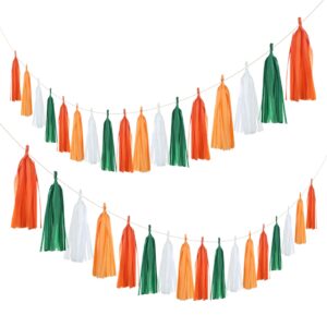 Mefuny 20Pcs Little Cutie Baby Shower Party Tassel Garland Tissue Paper Tassels Banner DIY Kit Orange Green White Tassel Banner Tangerine Citrus Themed Party Decoration Supplies