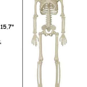 Halloween Skeletons Decorations, 16" Posable Plastic Skeleton 5 Packs, Full Body Skeleton Bulk with Movable Joints, Realistic Spooky Scary Skeletons for Outdoor Indoor Halloween Party Haunted House